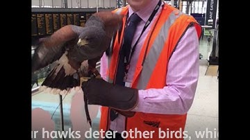 Week on the Network - 09/11/18