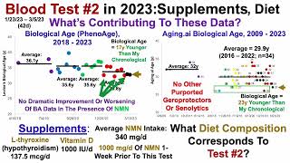 Blood Test #2 in 2023: Diet Composition