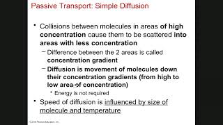 Chapter 3 Part1b: Cellular Physiology