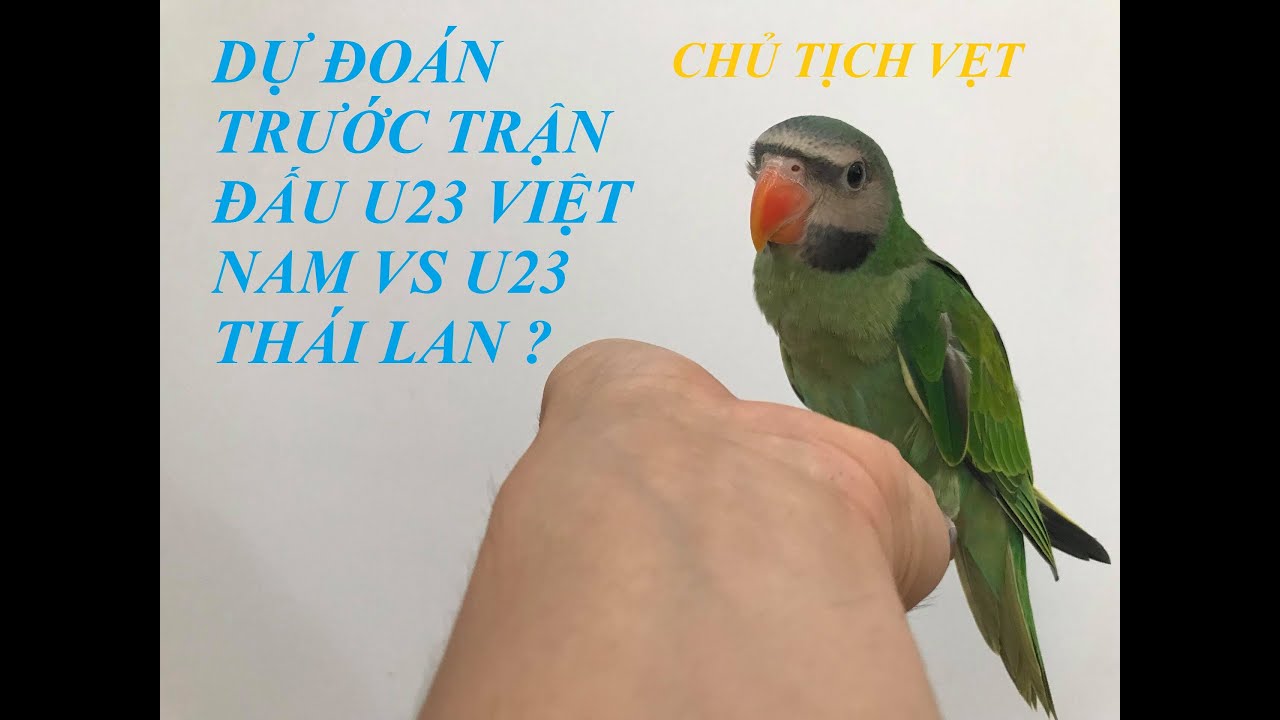 dunder casino erfahrungen U23 VIỆT NAMVẸTNHV U23 VIỆT NAM VS U23 THÁI LAN ASIAN CUP 2019-CHỦ TỊCH VẸT DỰ ĐOÁN VÀ CÁI KẾT