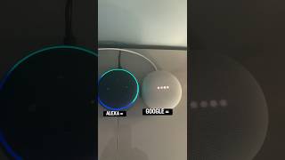Alexa Vs Google Startup Speed Test