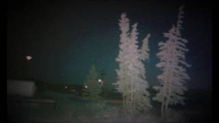 Download Guide To The Taiga Biome Apprentice Video MP3 Guide To The Taiga Biome Apprentice