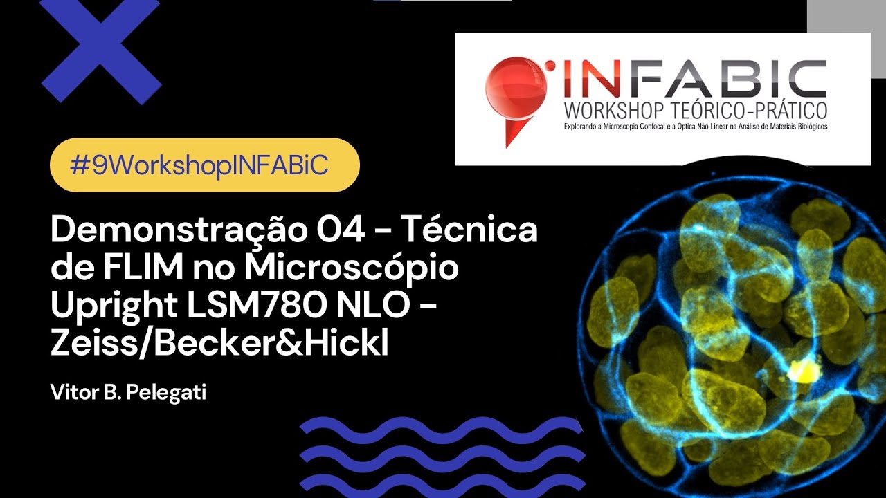 Demonstração 04 - Técnicas de FLIM no LSM780 NLO Zeiss Becker&Hickl - Vitor B. Pelegati