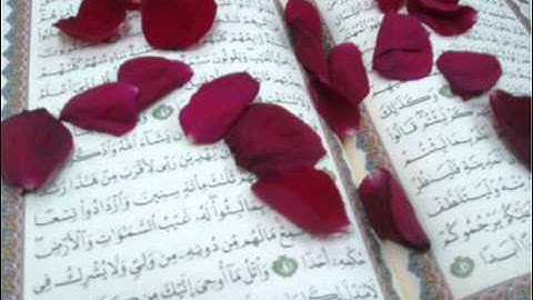 سورة الفاتحة للشيخ سلمان العتيبي صوت رااااائع جداً