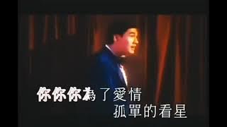 劉雅麗《你為了愛情》1995