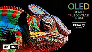 4K OLED Ultra HDR Macro ASMR | Extreme Deepest Black Relaxation | Dolby VISION screenshot 5
