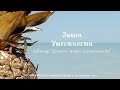 Закон Уместности 4.