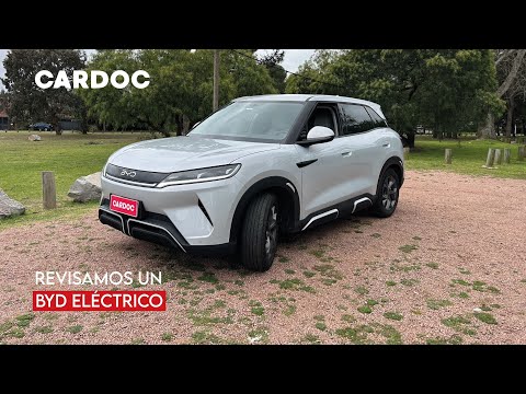 Sección Eléctricos |