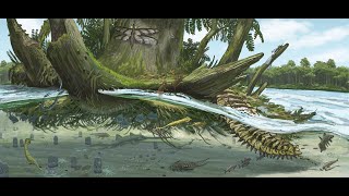 Weekly Wildlife: Fossil Day 5 Crossing The Mazon Creek Formation