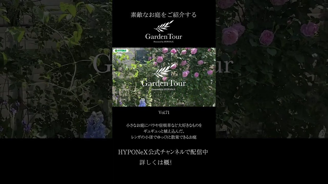 チューデ・グロンランド　バラと小鳥　図録・レゾネより　額付 チューデ・グロンランド バラと小鳥 図録・レゾネより 額付 ara