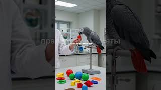 Майк Тайсон vs горилла Коко: битва сверхразумов 🧠⚡️ #животные #горилла #топ #интересное #тайсон