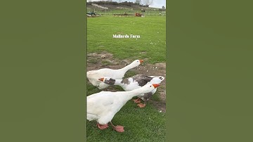 The 7 Best Day Trips in Kent