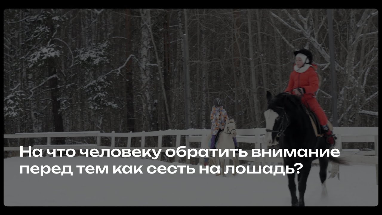 Как выбрать конный клуб и хорошего тренера по верховой езде | Cоветы директора КСК