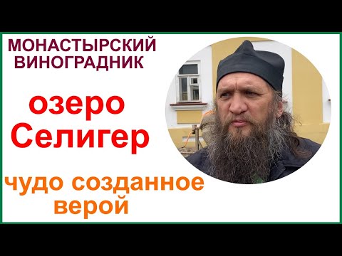 Монастырский виноградник. Озеро Селигер. Нило-Столобенская пустынь.