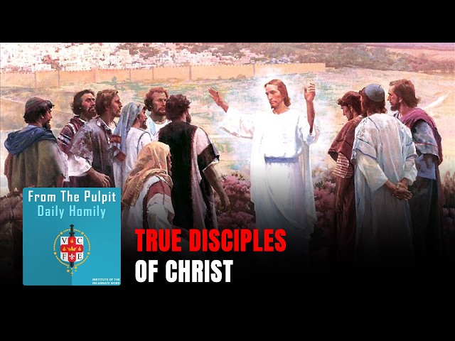 Daily IVE Homilies, July 8th, 2026 - True disciples of Christ