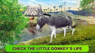 🐴Donkey Simulator Little Horse Wildlife Simulator-By Virtual Animals World-Android screenshot 3