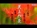 天上の花 (多岐川舞子さん)唄/真木さおり