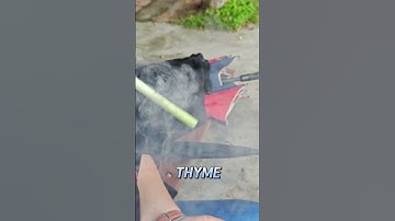 Revitalize your space with the natural power of mullein and thyme. #natural