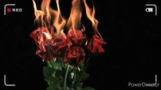 Stressed out - twenty one pilots instrumental(very)slowed down