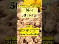 Adrak Lagane Se Pehle Ye Zaroor Karein! #farming #gingerfarming #farmingtips #indianfarmer