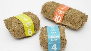Organic Eggs Packing Concept | Happy Eggs By. Maja Szczypek