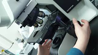 How to focus a slide on compound light microscope