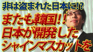 非は盗まれた日本に！？韓国、日本開発のシャインマスカット持ち帰り世界で荒稼ぎ。｜竹田恒泰チャンネル2