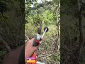 Spinning Steel Meets Timber: Why This Tool Leaves Clean Cuts Without Tears