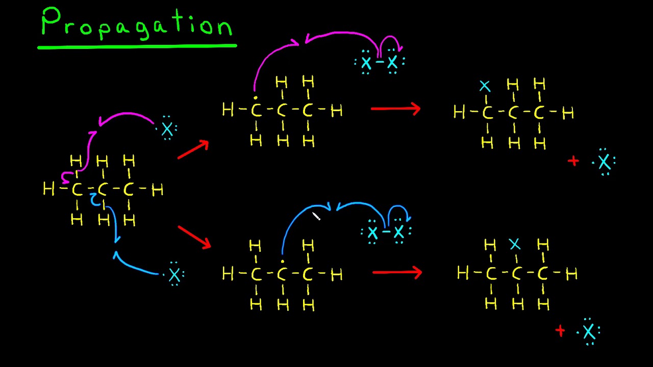 Halogénation radicalaire - Régiosélectivité