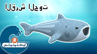 أوكتونوتس | القرش الحوت | السلسلة 1 | الحلقة 10 كاملة