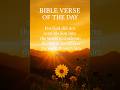John 3:17 | Bible Verse of the Day #bibleverseoftheday #motivation #bibleverse #quotes #gospel