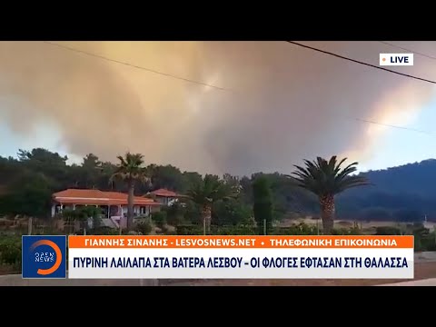 Μεγάλη φωτιά στη Λέσβο– Οι φλόγες έφτασαν στη θάλασσα | Μεσημεριανό Δελτίο Ειδήσεων 23/7/22| OPEN TV
