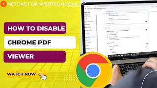 How to Disable Chrome Pdf Viewer | Chrome Pdf Viewer Settings screenshot 5