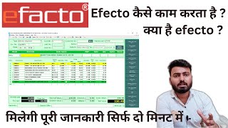 How to use Efecto software / How does Efecto work? / What is Efecto? FULL DETAILED VIDEO screenshot 3