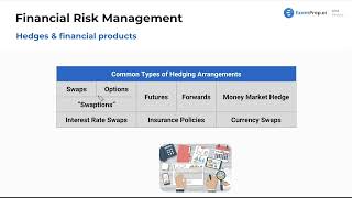 Hedges and Financial Products [CPA Prep]