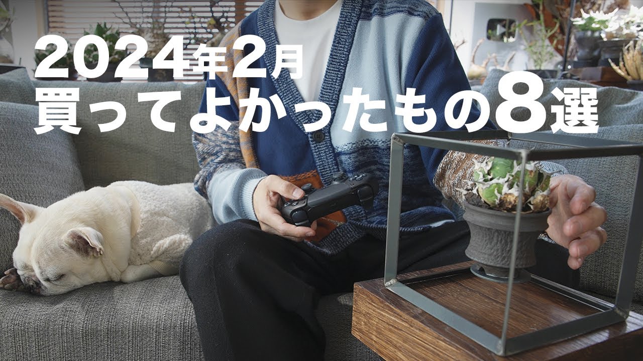 【ベストバイ】2024年2月に買ってよかったもの【購入品】