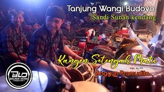 SANDI SUNAN KENDANG - KANGEN STENGAH MATI - ANGGUN PRAMUDITA // JANGER TANJUNG WANGI BUDOYO