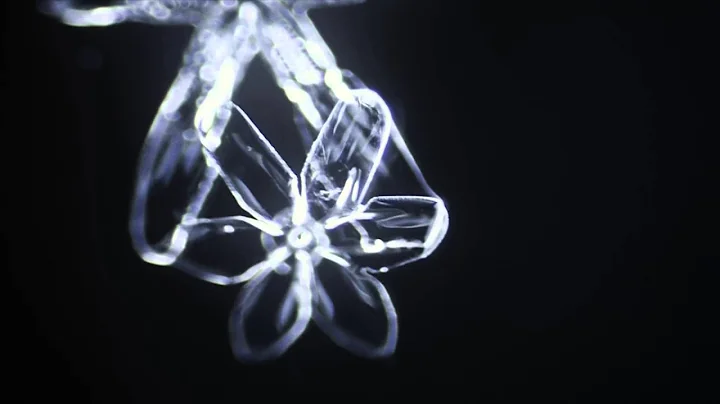 Lindsey Stirling - Crystallize - Snowflake Forming