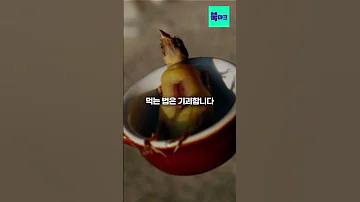 대통령까지 숨어서 먹어야 했다는 기괴한 음식 Shorts 쇼츠 