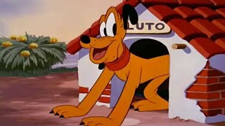 Плуто відправляє вас у дику Мультяшну пригодницьку подорож!