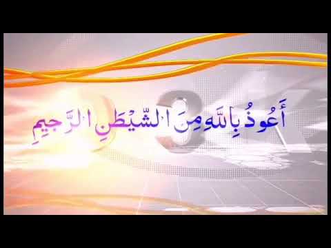 Expose || Farooq Khan Razvi || "Kya Nabi ﷺ Ki Qabar E Mubarak Unchi Thi? || By Talha Salafi(ح