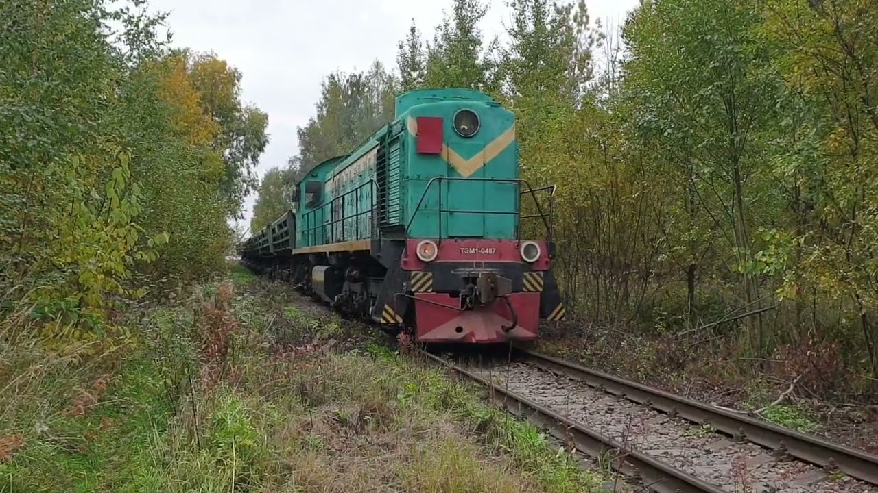 ТЭМ1-0487 ппжт ст. Шувалово