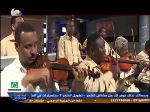 عاصم البنا شن اسو