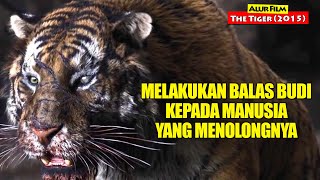 Kisah Harimau Yang Melakukan Balas Budi Kepada Manusia | Alur Cerita Film THE TIGER (2015)