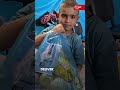 How Can We Help Palestine Emergency Appeal 2023 How Can We Help Palestine Emergency Appeal 2023
