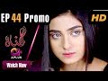 Watch Gunnah - Episode 44 | Aplus Dramas | Sara Elahi, Shamoon Abbasi, Asad Malik | Pakistani Drama Online In HD
