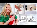 SHE GROOMED THE DOGS AT HOME!