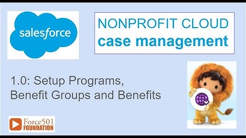 1.0 Build test NPC Benefit and Program records - Salesforce Nonprofit Cloud Program Management