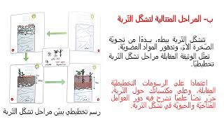 أميّز مراحل تشكل التربة