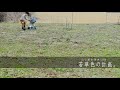 【山小屋生活#188 】若草色の計画。